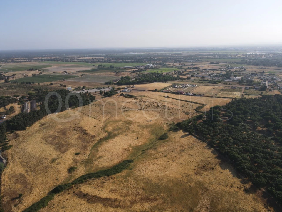 Terreno para Venda em Benavente Foto 9