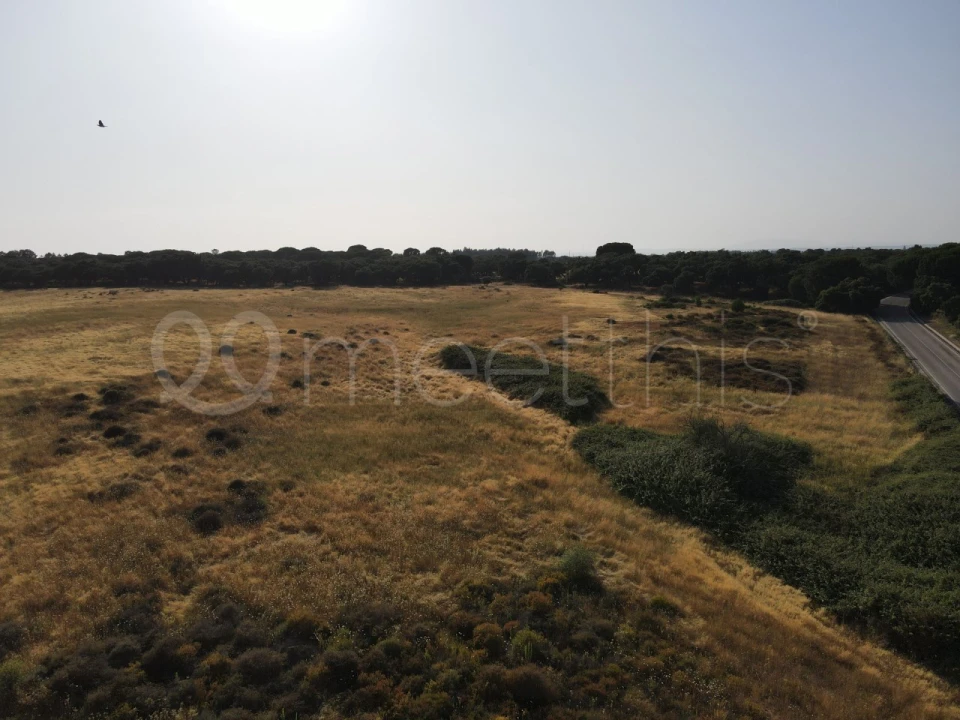Terreno para Venda em Benavente Foto 10