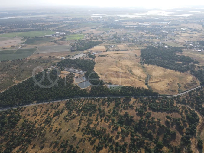 Terreno para Venda em Benavente Foto 2