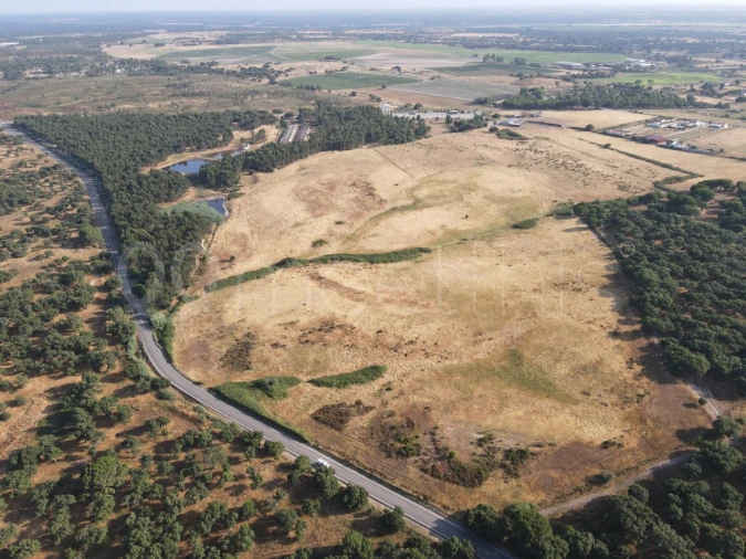 Terreno para Venda em Benavente Foto 6