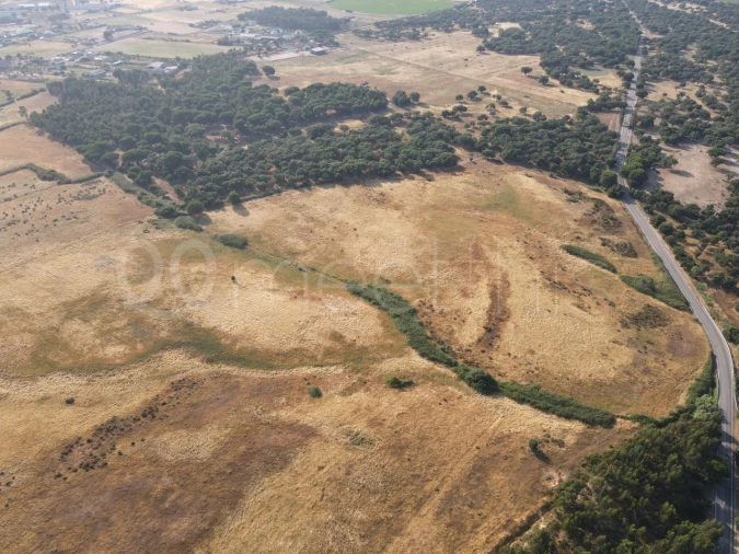 Terreno para Venda em Benavente Foto 8