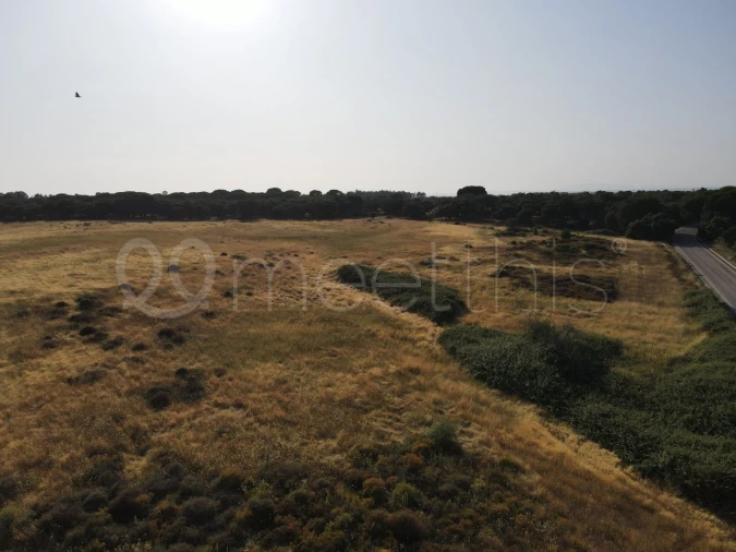 Terreno para Venda em Benavente Foto 10