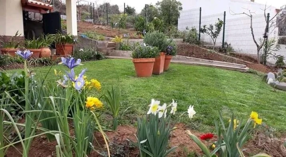 Moradia T1 para Venda em Fajã da Ovelha Foto 18