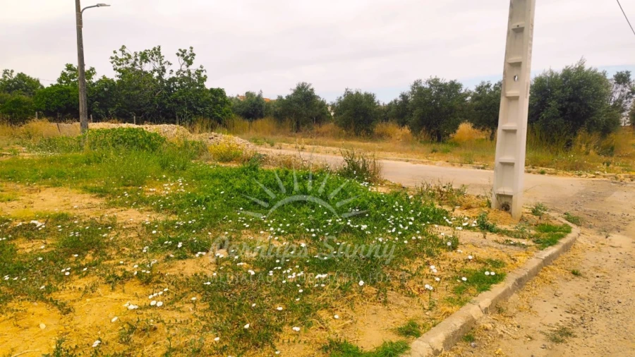 Terreno para Venda em Ermidas-Sado Foto 12