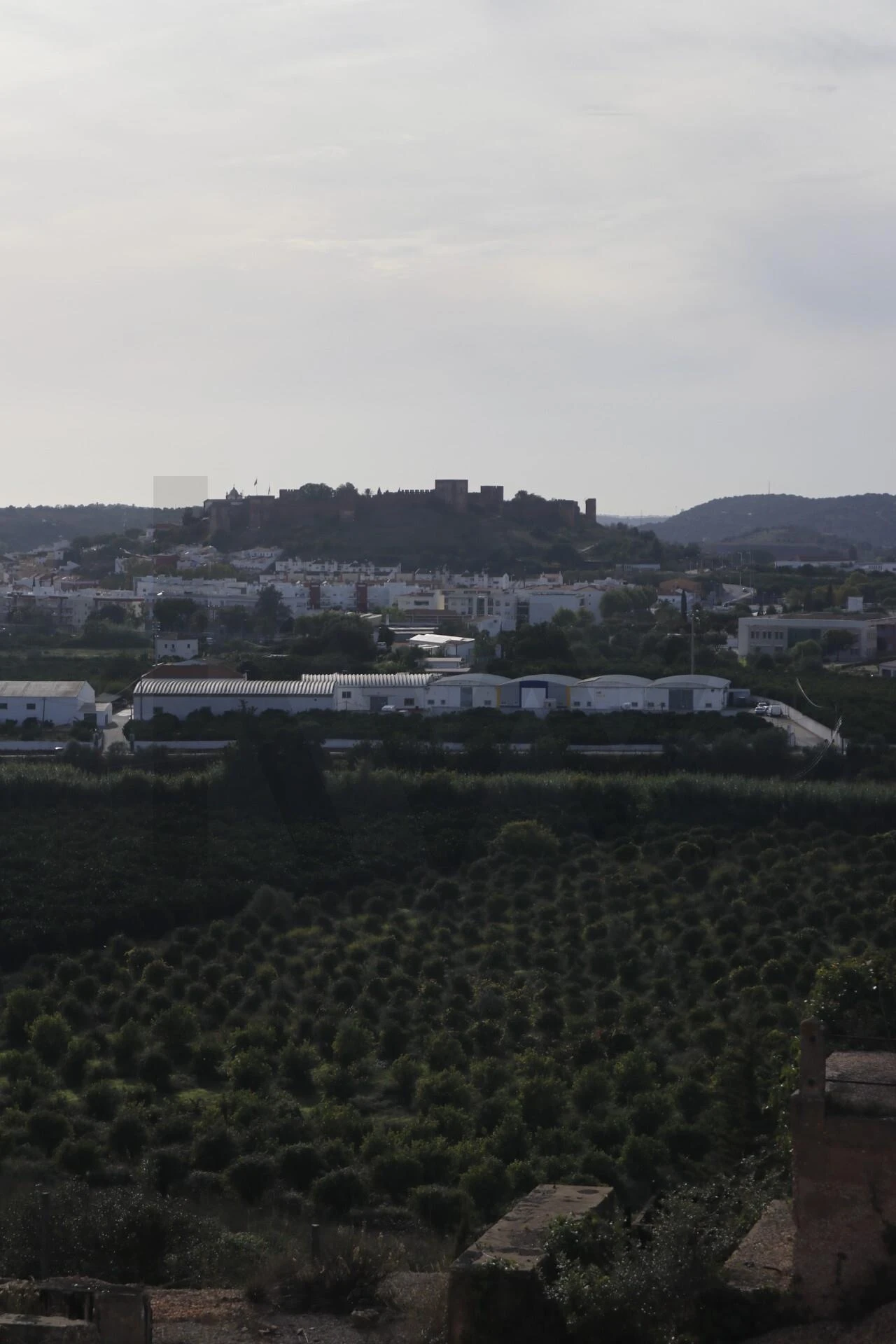 Terreno para Venda em Silves Foto 34