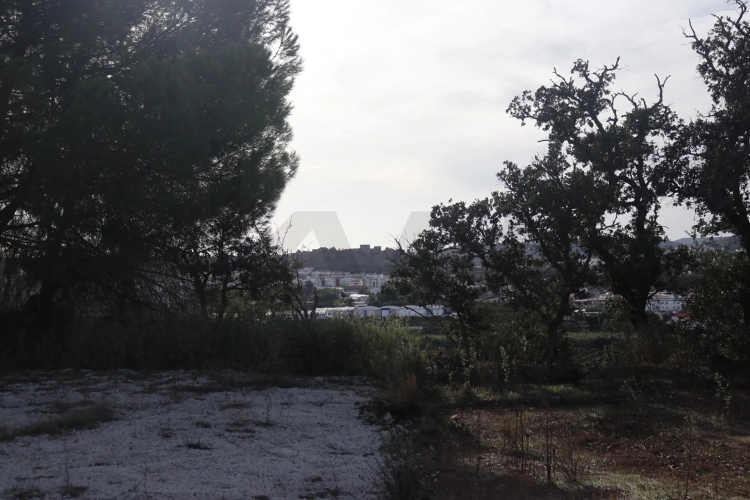 Terreno para Venda em Silves Foto 37