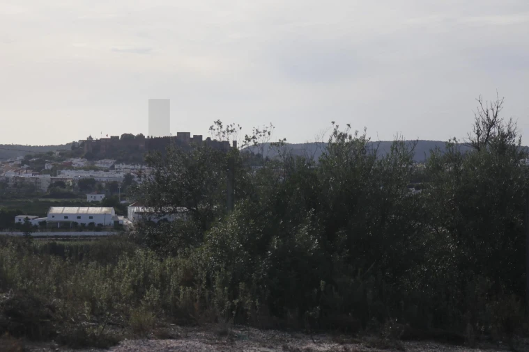 Terreno para Venda em Silves Foto 19