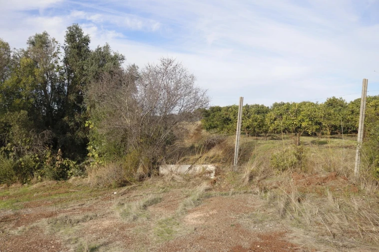 Terreno para Venda em Silves Foto 39