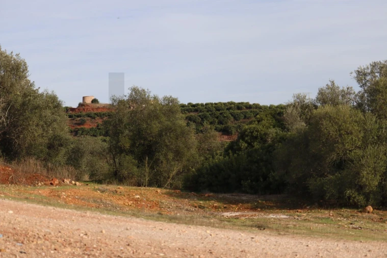 Terreno para Venda em Silves Foto 11