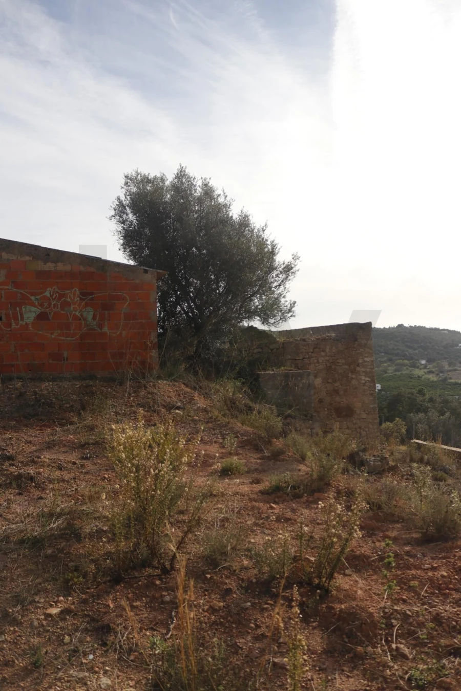 Terreno para Venda em Silves Foto 35