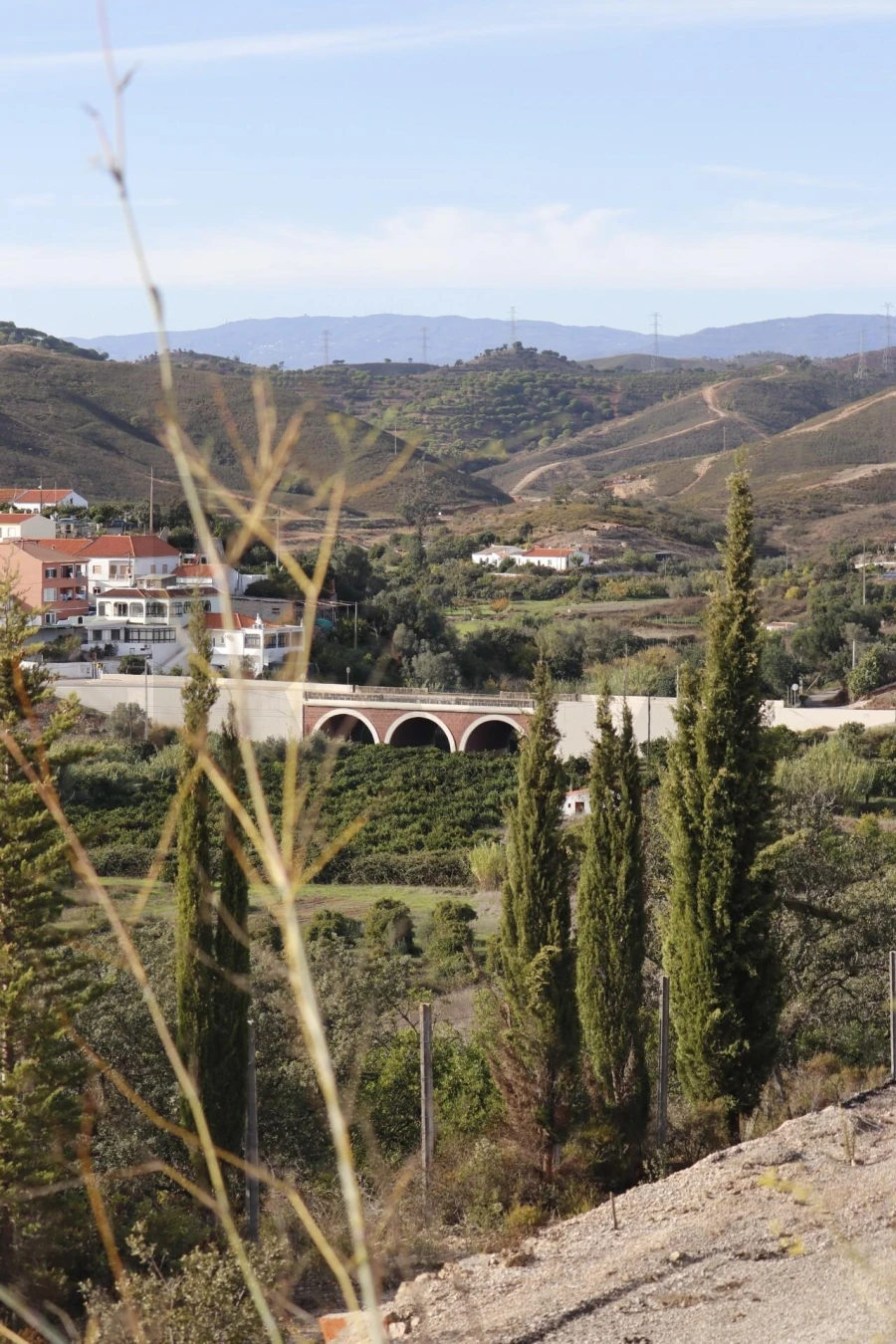 Terreno para Venda em Silves Foto 9