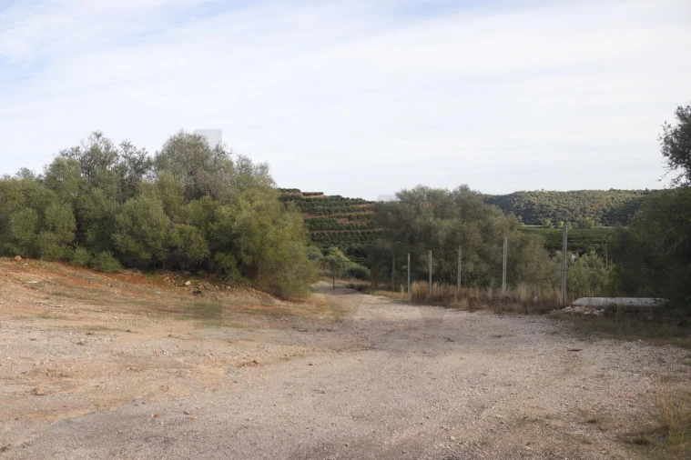 Terreno para Venda em Silves Foto 13