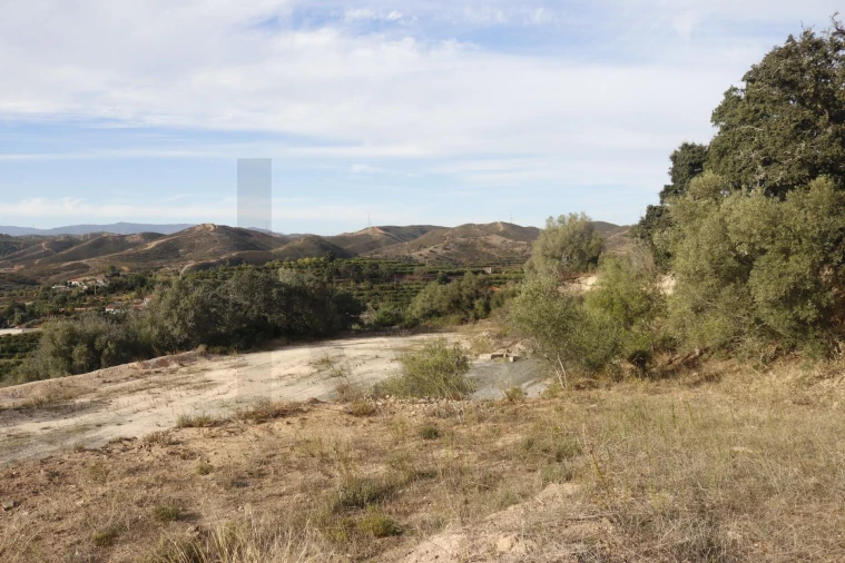 Terreno para Venda em Silves Foto 32