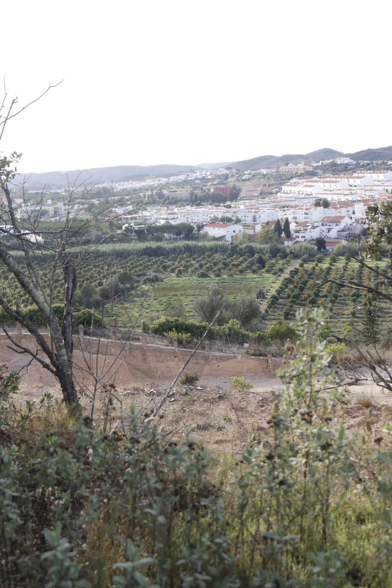 Terreno para Venda em Silves Foto 45