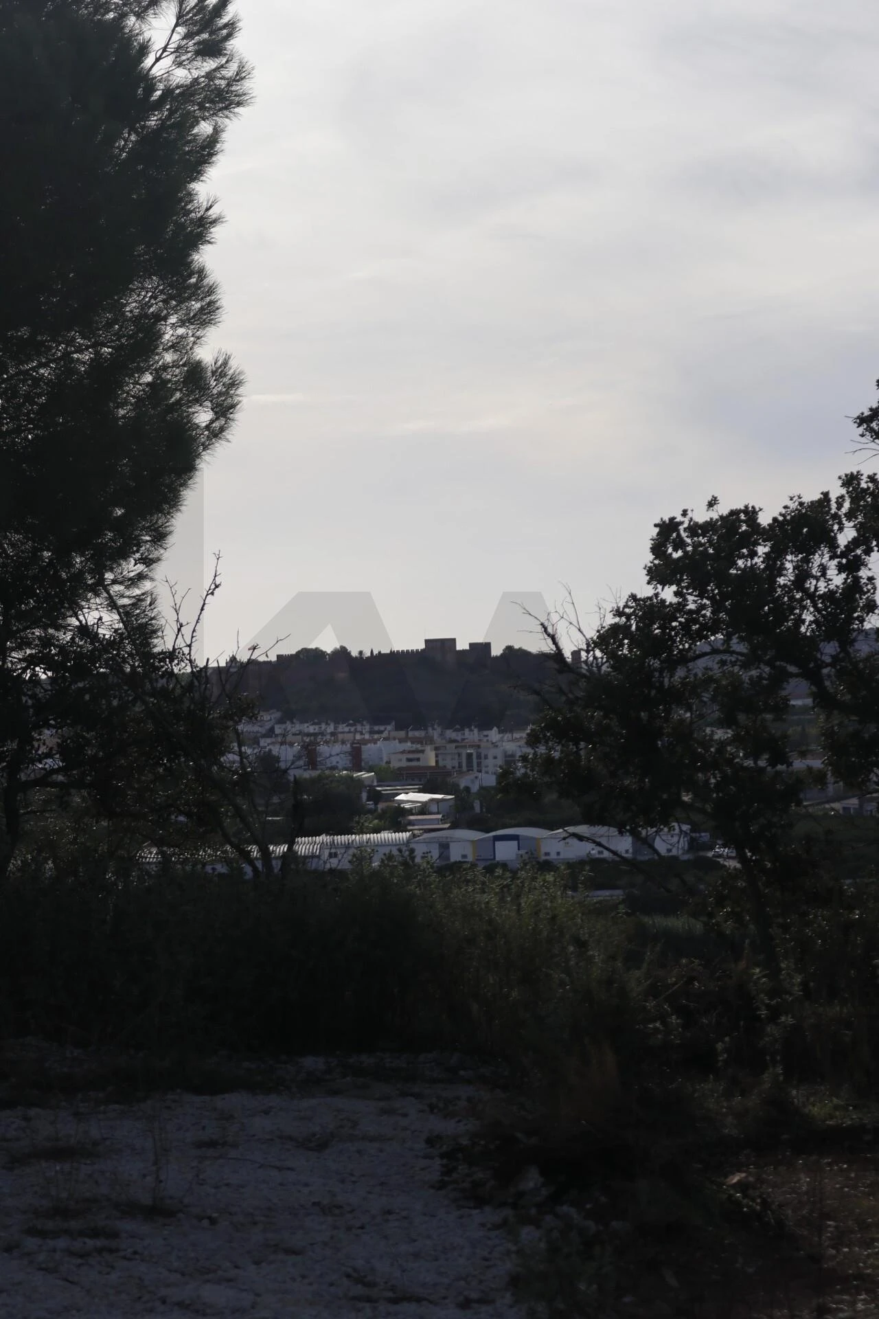 Terreno para Venda em Silves Foto 38