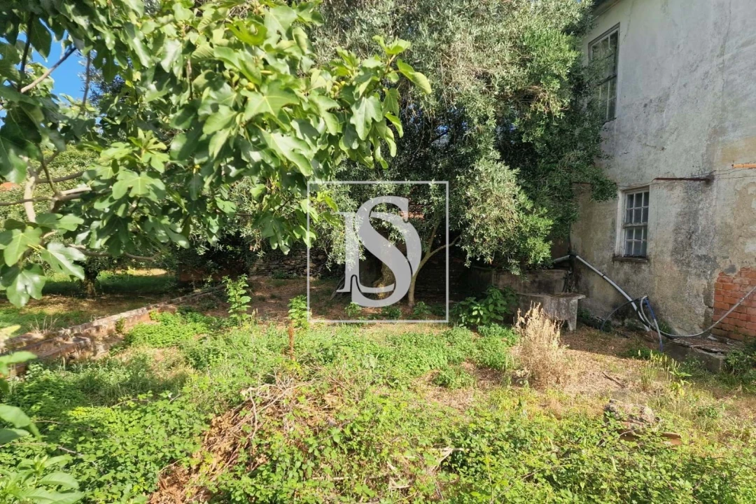 Moradia T3 para Venda em Tondela e Nandufe Foto 19