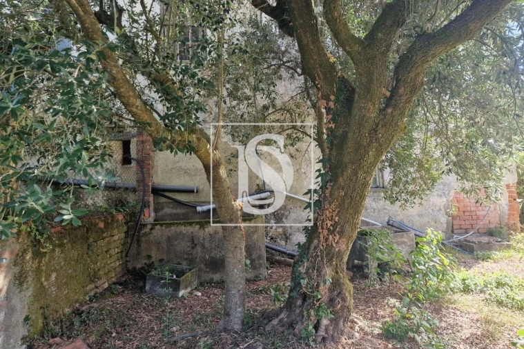 Moradia T3 para Venda em Tondela e Nandufe Foto 16