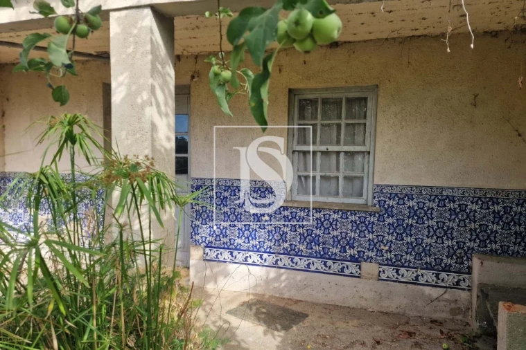 Moradia T3 para Venda em Tondela e Nandufe Foto 12