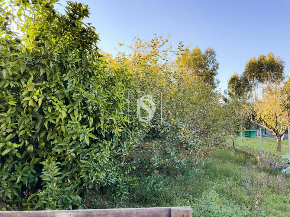 Moradia T3 para Venda em Joane Foto 25