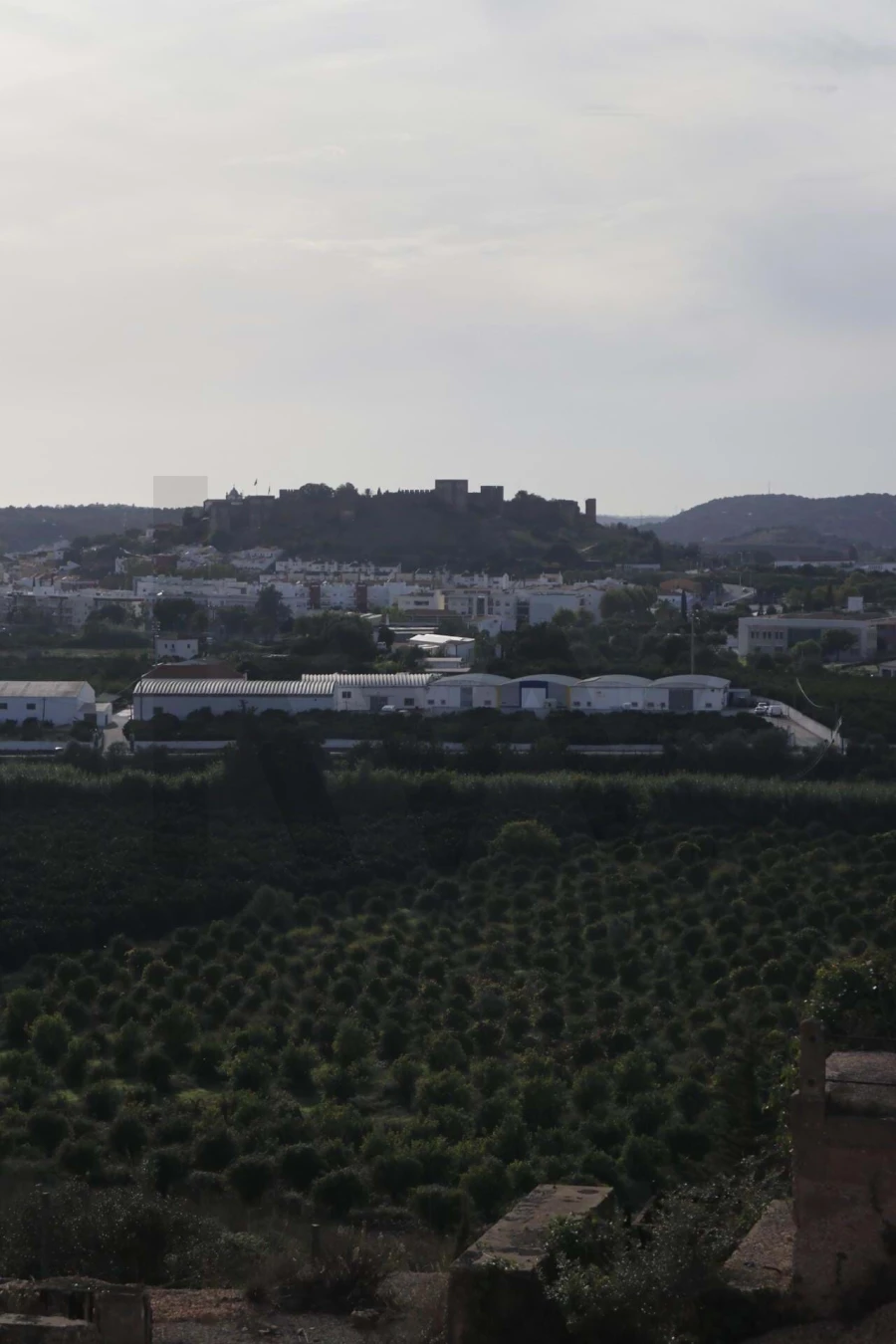 Terreno para Venda em São Silvestre Foto 34