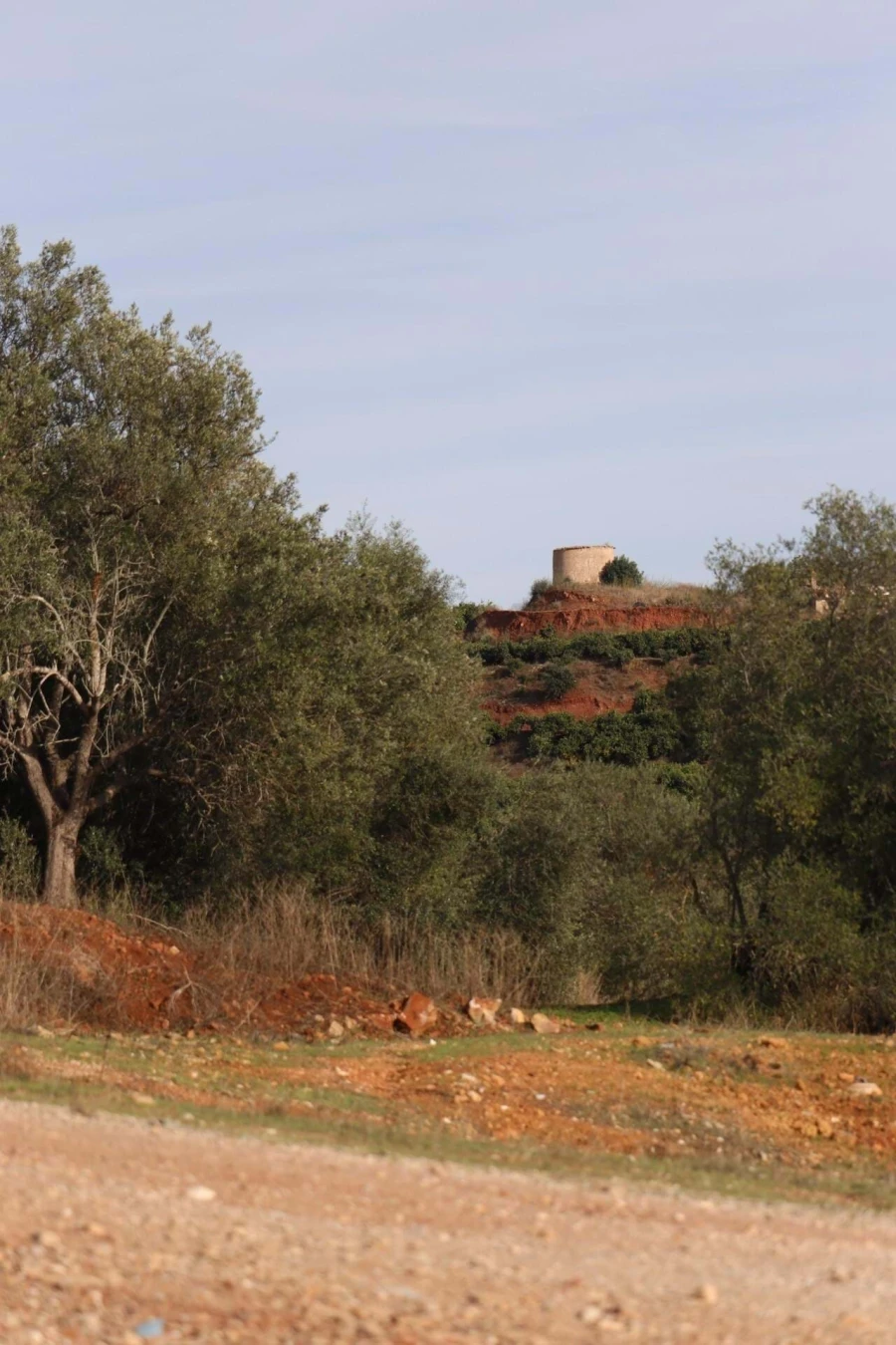 Terreno para Venda em São Silvestre Foto 10