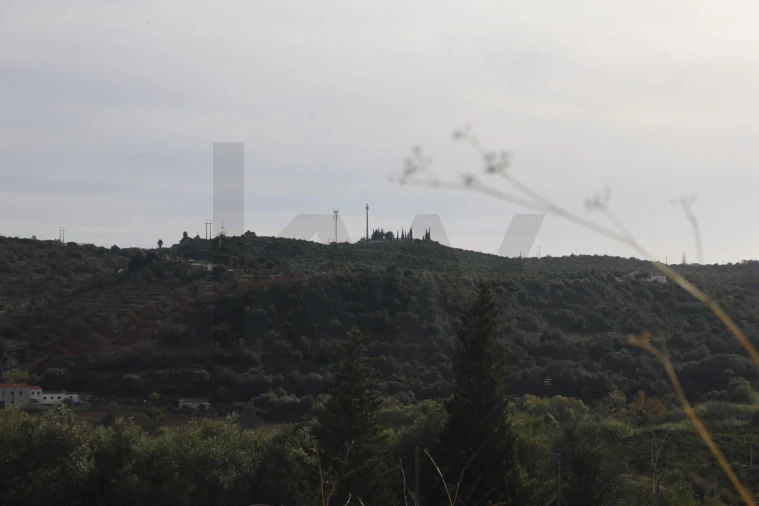 Terreno para Venda em São Silvestre Foto 23