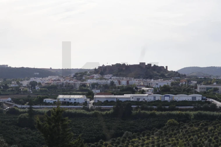 Terreno para Venda em São Silvestre