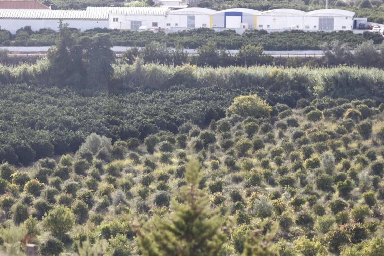 Terreno para Venda em São Silvestre Foto 4