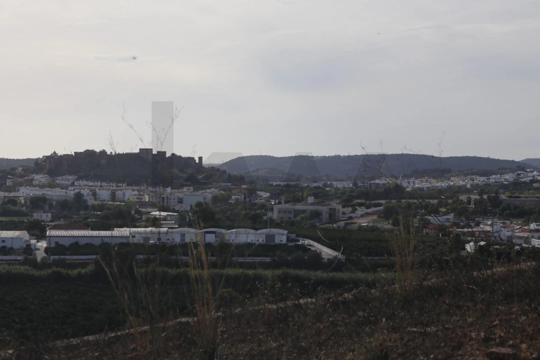 Terreno para Venda em Silves Foto 21