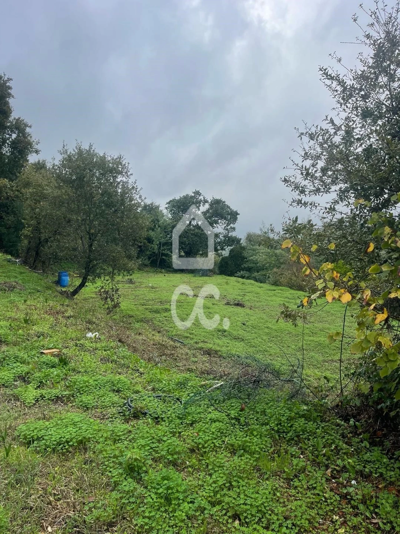 Terreno para Venda em Loures Foto 5