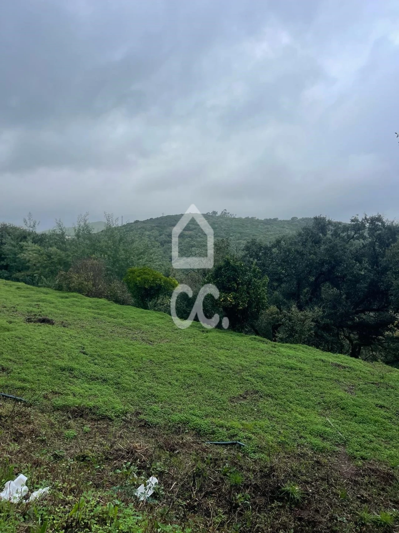 Terreno para Venda em Loures Foto 8