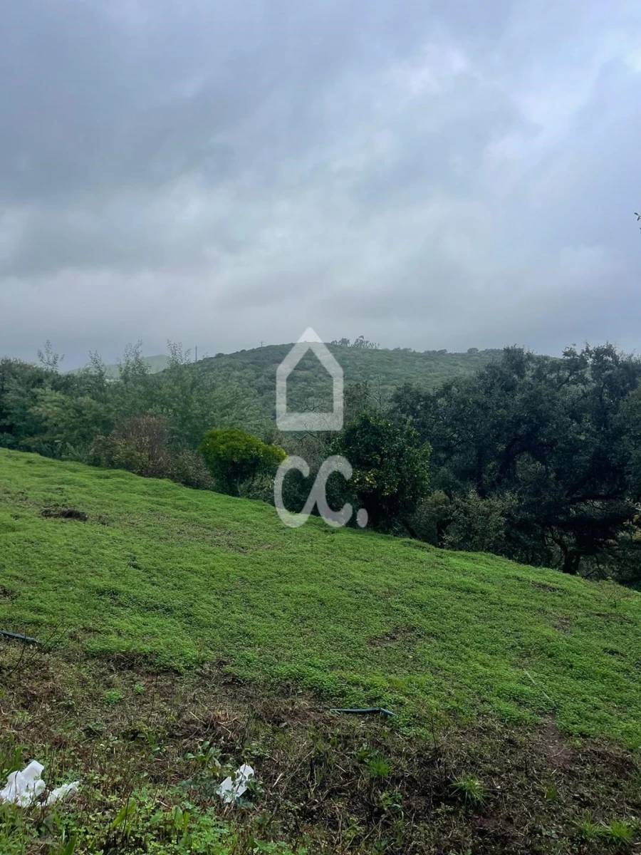 Terreno para Venda em Loures Foto 8