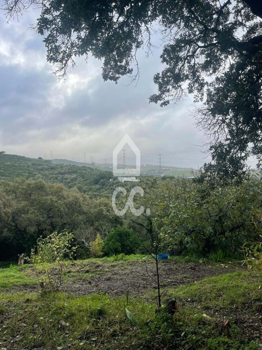 Terreno para Venda em Loures Foto 14