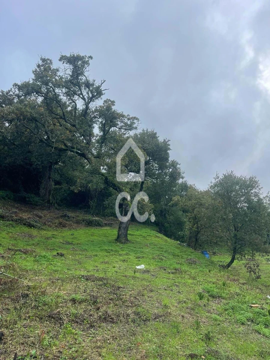 Terreno para Venda em Loures Foto 10