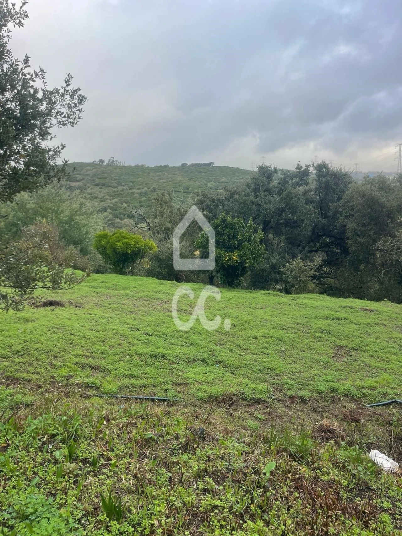 Terreno para Venda em Loures Foto 6