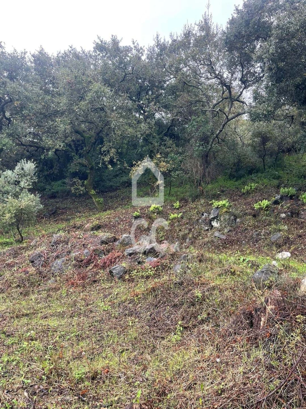 Terreno para Venda em Loures Foto 7