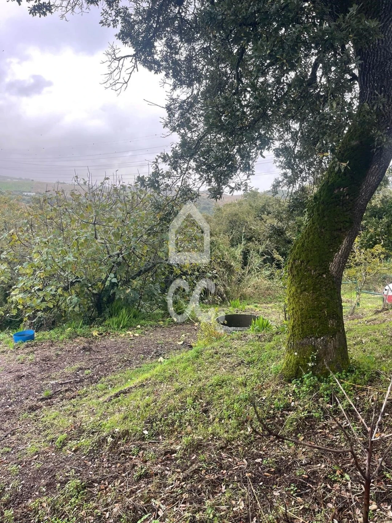 Terreno para Venda em Loures Foto 15