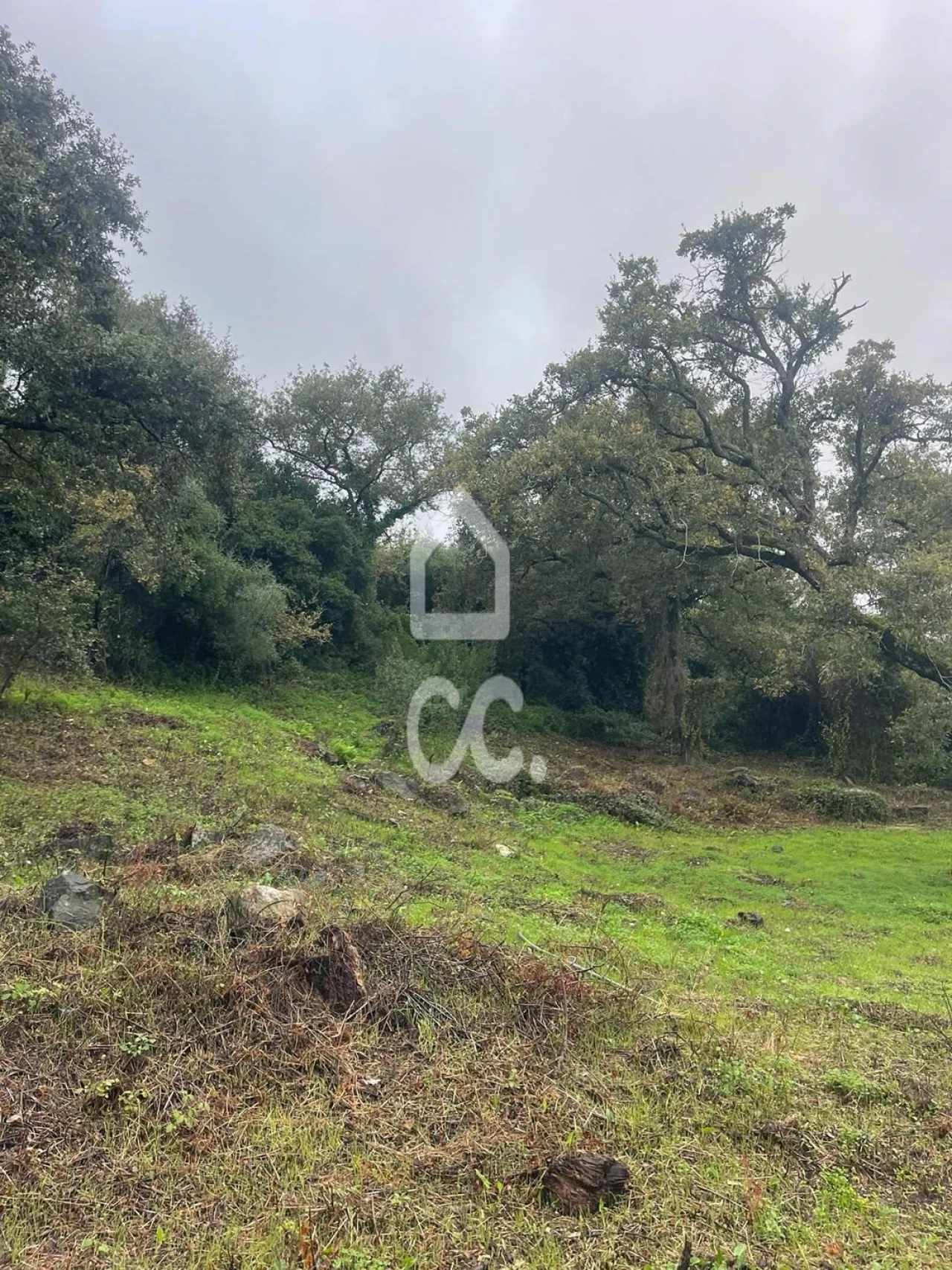 Terreno para Venda em Loures Foto 3