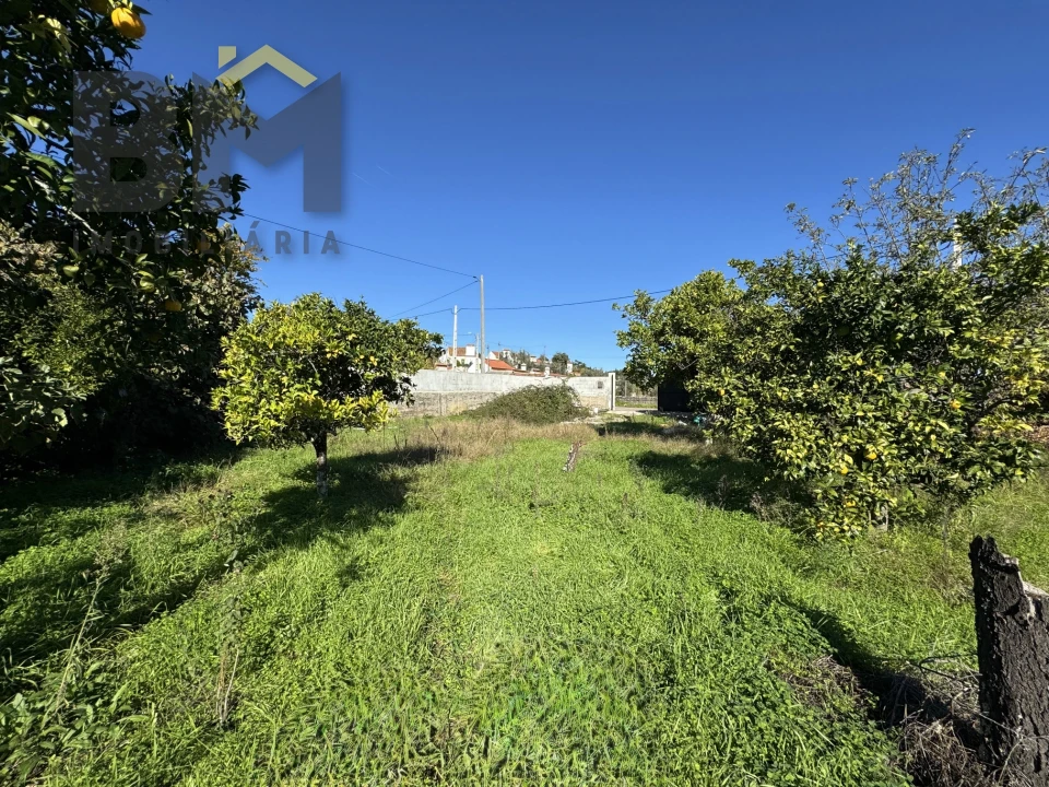 Terreno Agricola ou Rústico para Venda em Margem Foto 16