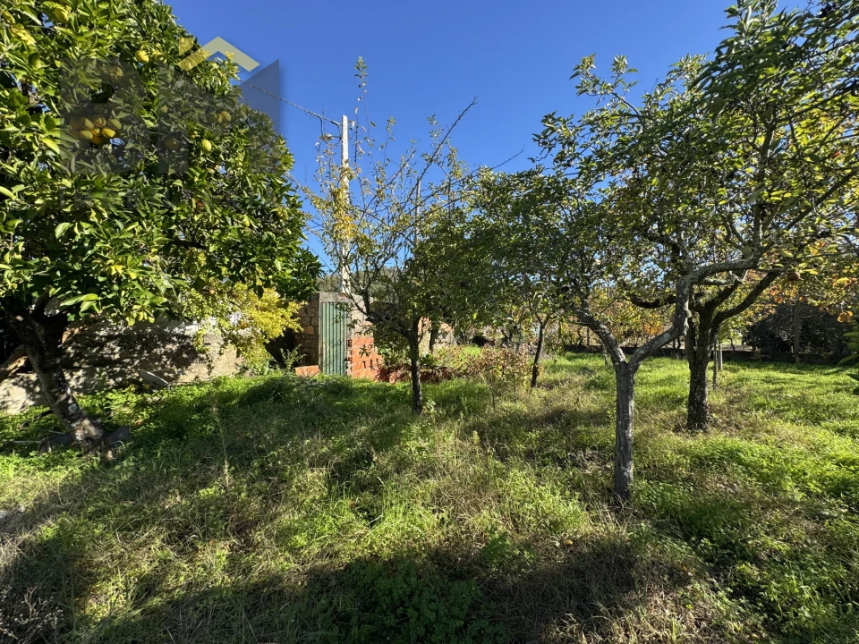 Terreno Agricola ou Rústico para Venda em Margem Foto 10