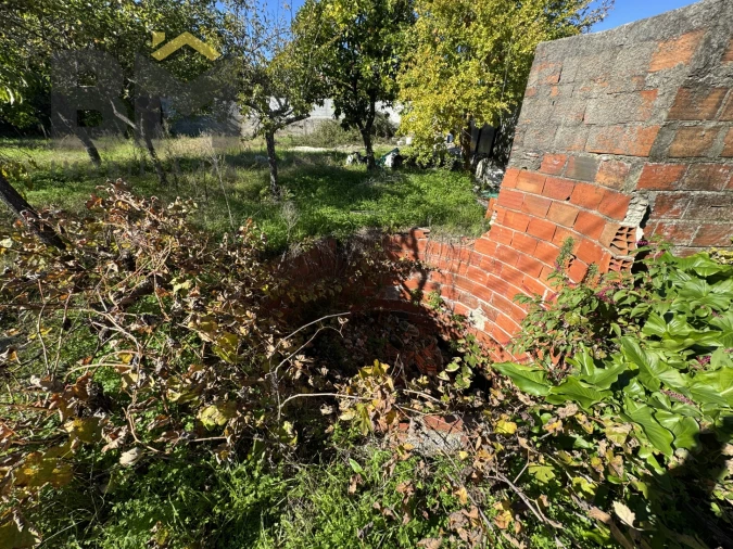 Terreno Agricola ou Rústico para Venda em Margem Foto 15