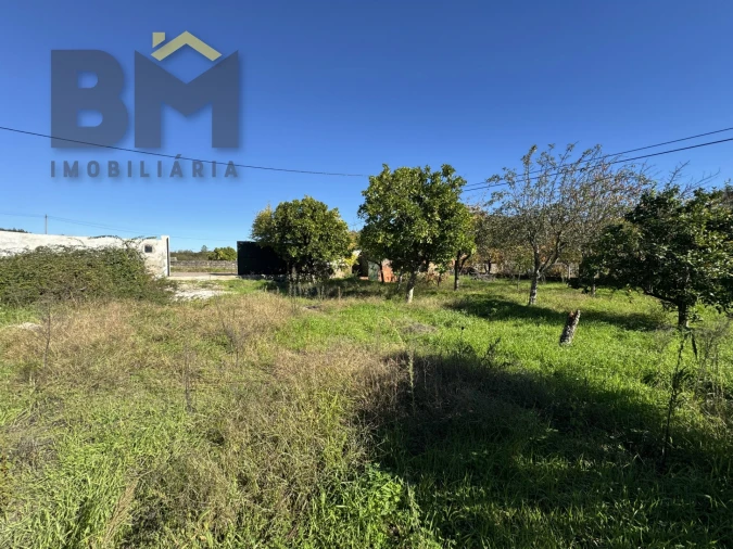 Terreno Agricola ou Rústico para Venda em Margem Foto 14
