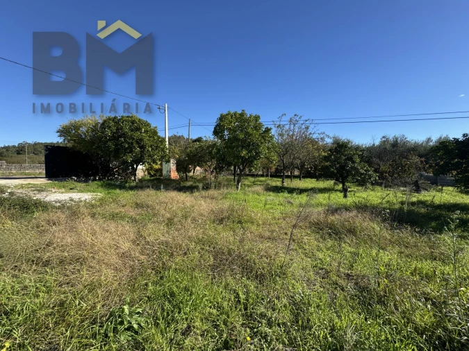 Terreno Agricola ou Rústico para Venda em Margem Foto 13