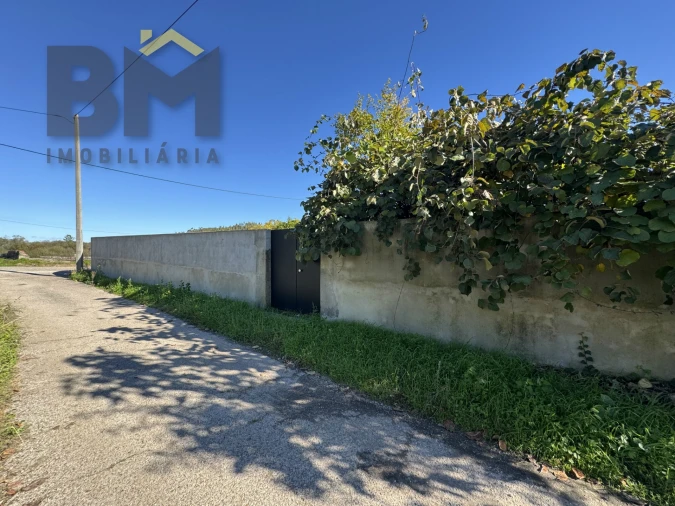 Terreno Agricola ou Rústico para Venda em Margem Foto 6