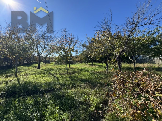 Terreno Agricola ou Rústico para Venda em Margem Foto 11