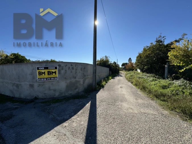 Terreno Agricola ou Rústico para Venda em Margem Foto 5
