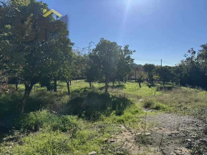 Terreno Agricola ou Rústico para Venda em Margem Foto 9