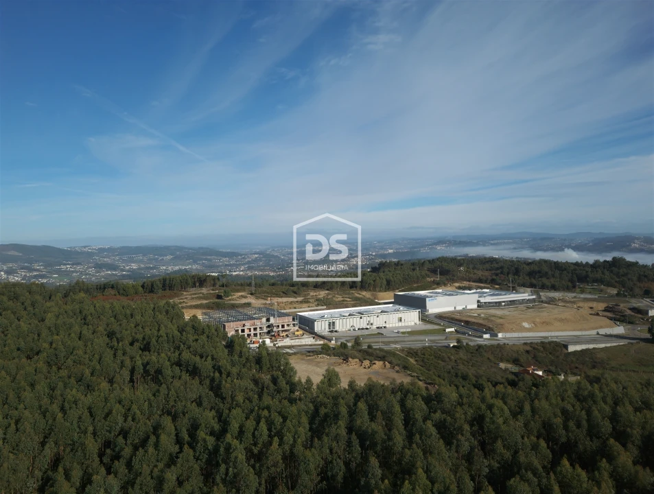 Terreno para Venda em Recezinhos (São Martinho) Foto 11