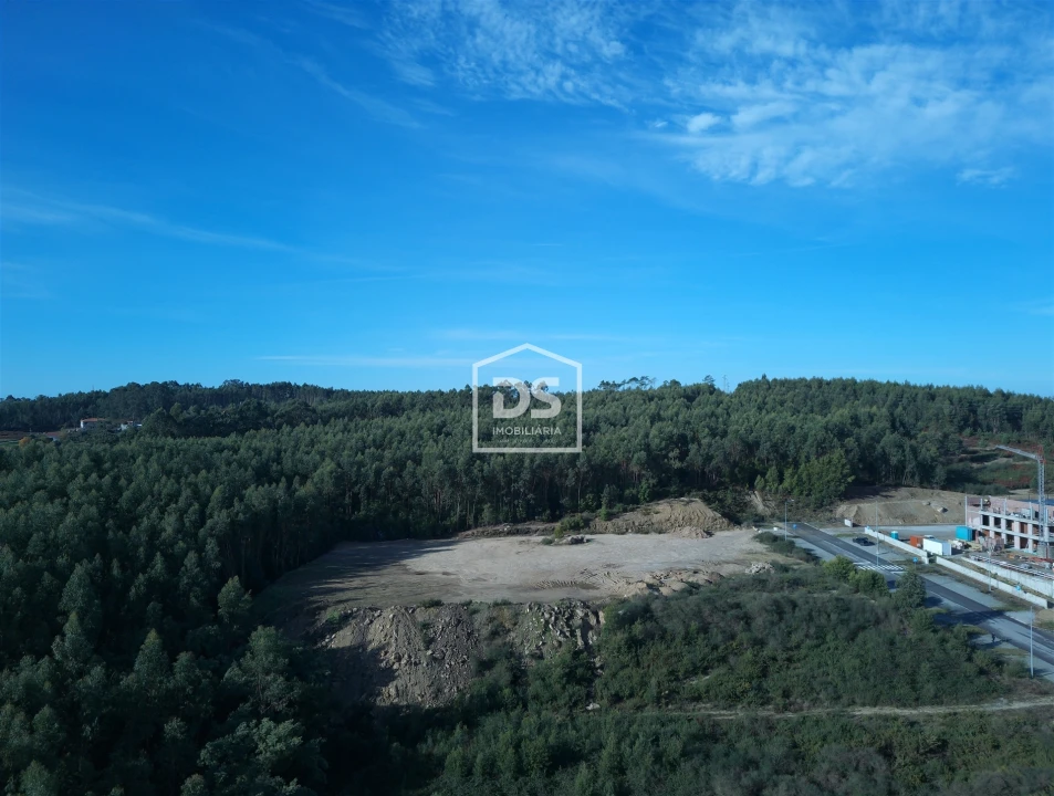 Terreno para Venda em Recezinhos (São Martinho) Foto 6