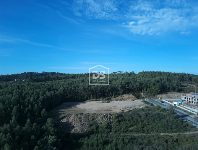 Terreno para Venda em Recezinhos (São Martinho) Foto 6